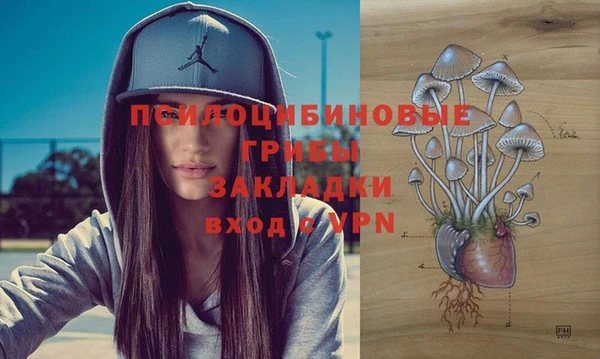 хмурый Алексин