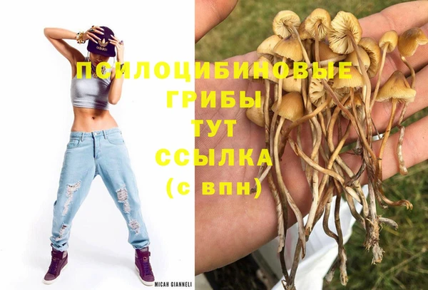метамфетамин Алексеевка