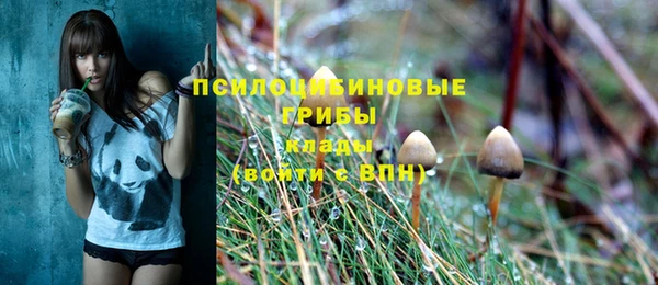 хмурый Алексин