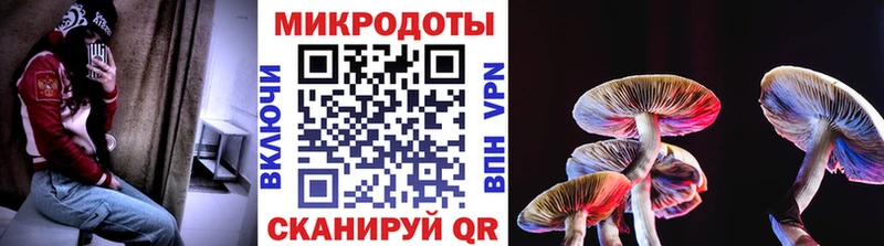 KRAKEN онион  Прохладный  Галлюциногенные грибы MAGIC MUSHROOMS 